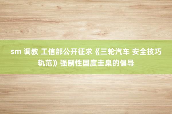 sm 调教 工信部公开征求《三轮汽车 安全技巧轨范》强制性国度圭臬的倡导