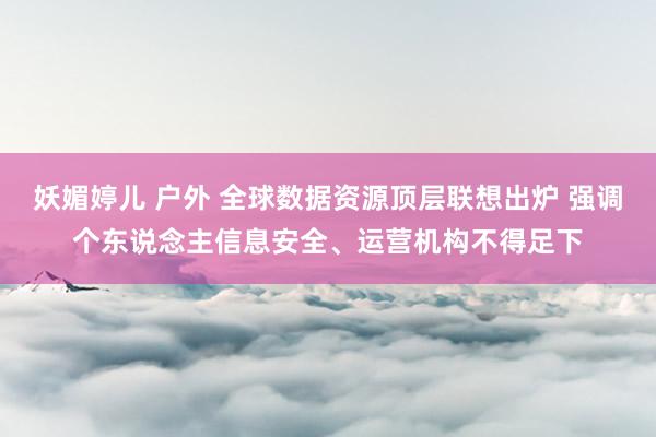 妖媚婷儿 户外 全球数据资源顶层联想出炉 强调个东说念主信息安全、运营机构不得足下