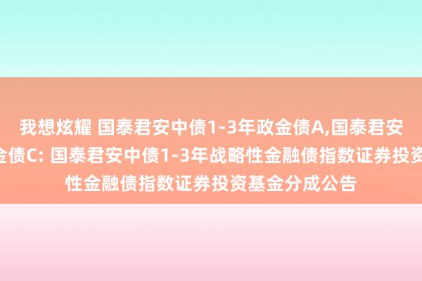 我想炫耀 国泰君安中债1-3年政金债A,国泰君安中债1-3年政金债C: 国泰君安中债1-3年战略性金融债指数证券投资基金分成公告