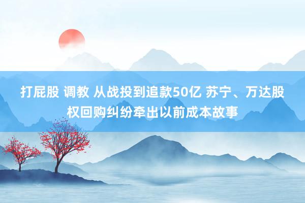 打屁股 调教 从战投到追款50亿 苏宁、万达股权回购纠纷牵出以前成本故事