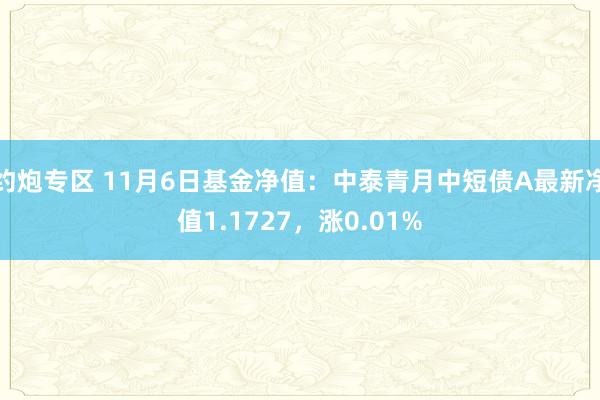 约炮专区 11月6日基金净值：中泰青月中短债A最新净值1.1727，涨0.01%