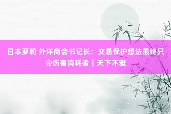 日本萝莉 外洋商会书记长：交易保护想法最终只会伤害消耗者｜天下不雅