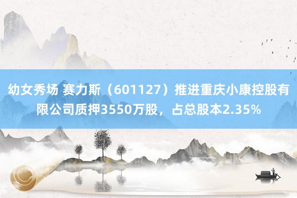 幼女秀场 赛力斯（601127）推进重庆小康控股有限公司质押3550万股，占总股本2.35%