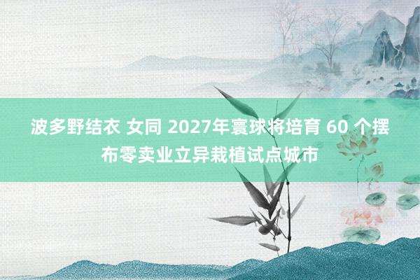 波多野结衣 女同 2027年寰球将培育 60 个摆布零卖业立异栽植试点城市