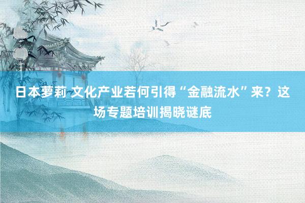 日本萝莉 文化产业若何引得“金融流水”来？这场专题培训揭晓谜底