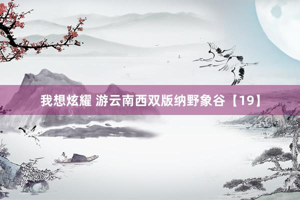 我想炫耀 游云南西双版纳野象谷【19】