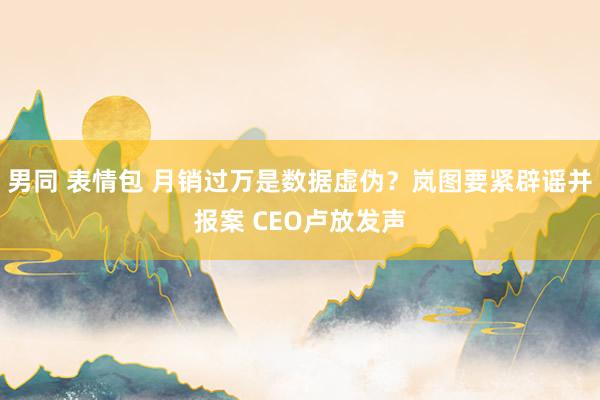 男同 表情包 月销过万是数据虚伪？岚图要紧辟谣并报案 CEO卢放发声