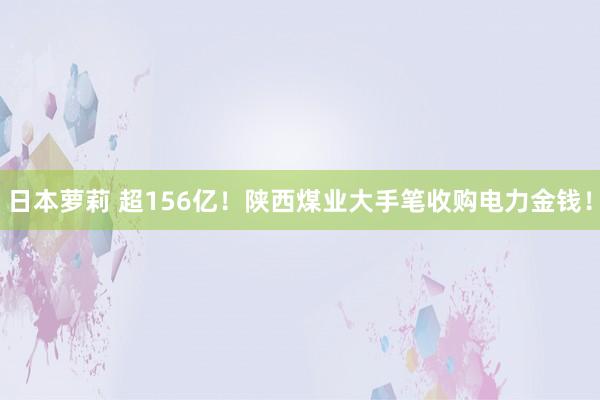 日本萝莉 超156亿！陕西煤业大手笔收购电力金钱！