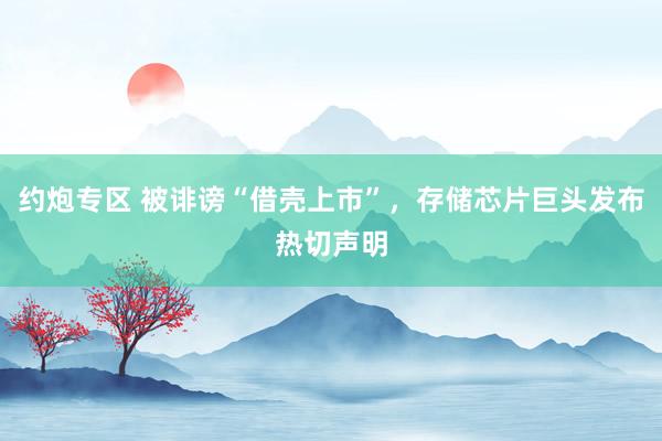 约炮专区 被诽谤“借壳上市”，存储芯片巨头发布热切声明
