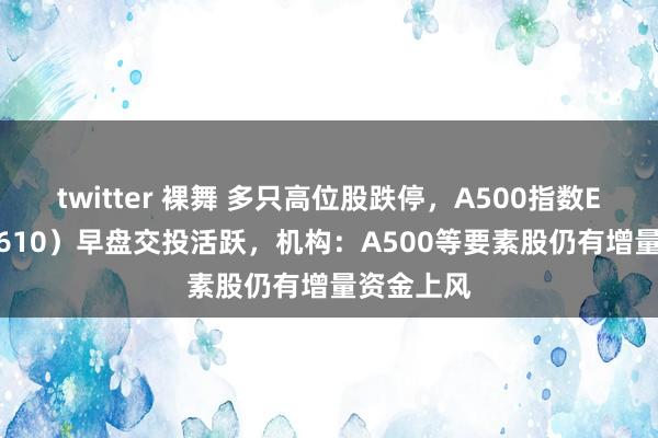 twitter 裸舞 多只高位股跌停，A500指数ETF（560610）早盘交投活跃，机构：A500等要素股仍有增量资金上风
