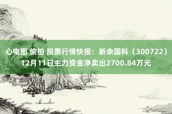 心电图 偷拍 股票行情快报：新余国科（300722）12月11日主力资金净卖出2700.84万元