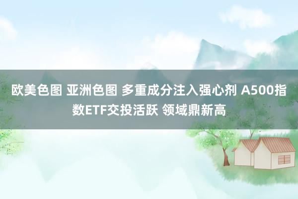 欧美色图 亚洲色图 多重成分注入强心剂 A500指数ETF交投活跃 领域鼎新高