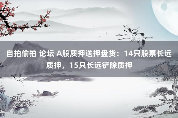 自拍偷拍 论坛 A股质押送押盘货：14只股票长远质押，15只长远铲除质押