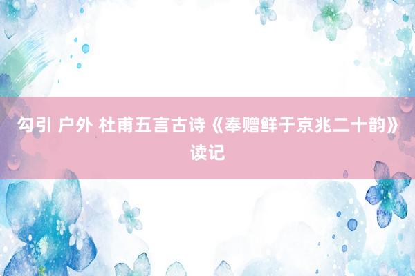 勾引 户外 杜甫五言古诗《奉赠鲜于京兆二十韵》读记