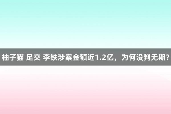 柚子猫 足交 李铁涉案金额近1.2亿，为何没判无期？