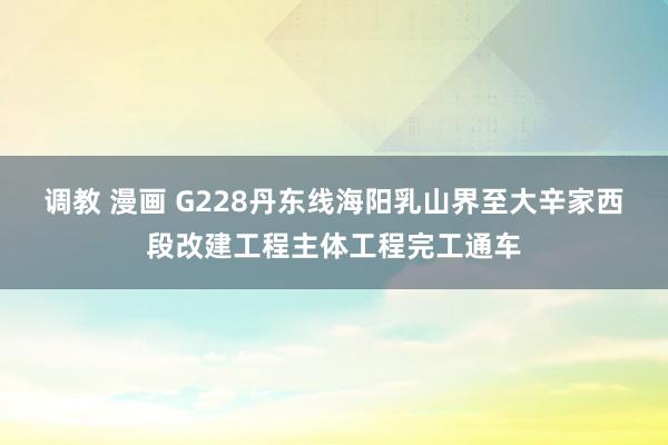 调教 漫画 G228丹东线海阳乳山界至大辛家西段改建工程主体工程完工通车