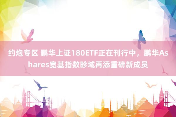 约炮专区 鹏华上证180ETF正在刊行中，鹏华Ashares宽基指数畛域再添重磅新成员