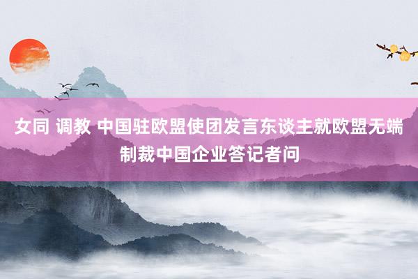 女同 调教 中国驻欧盟使团发言东谈主就欧盟无端制裁中国企业答记者问