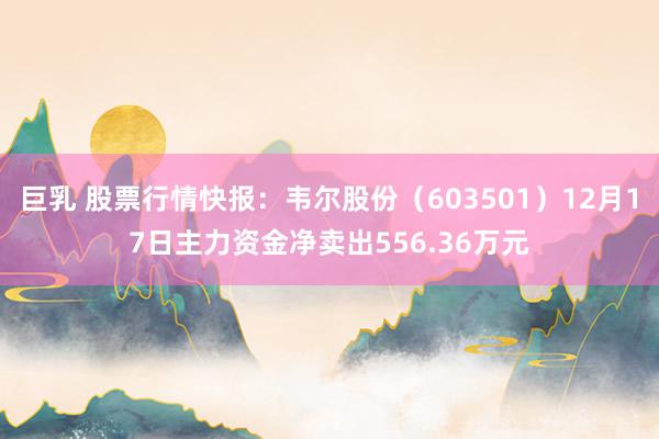 巨乳 股票行情快报：韦尔股份（603501）12月17日主力资金净卖出556.36万元