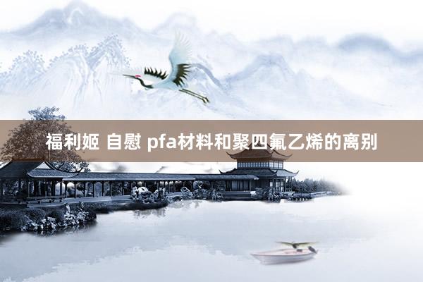 福利姬 自慰 pfa材料和聚四氟乙烯的离别