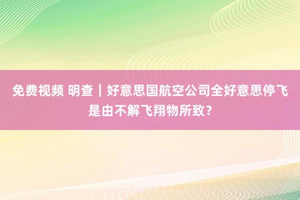 免费视频 明查｜好意思国航空公司全好意思停飞是由不解飞翔物所致？