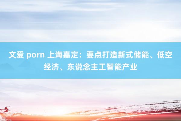文爱 porn 上海嘉定：要点打造新式储能、低空经济、东说念主工智能产业