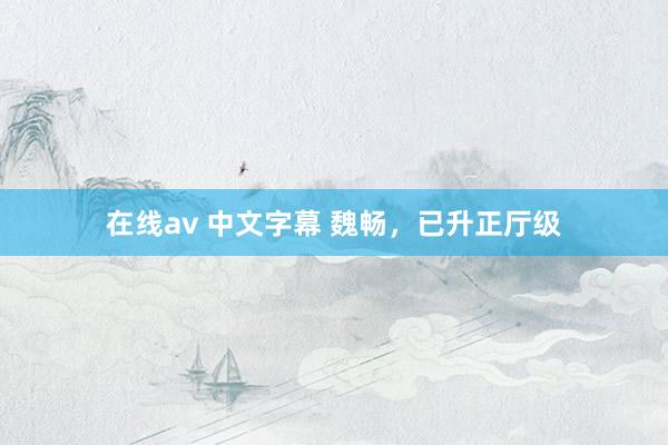 在线av 中文字幕 魏畅，已升正厅级