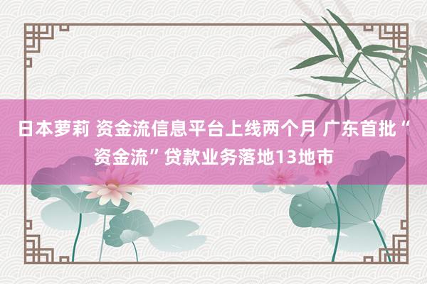 日本萝莉 资金流信息平台上线两个月 广东首批“资金流”贷款业务落地13地市