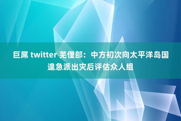 巨屌 twitter 芜俚部：中方初次向太平洋岛国遑急派出灾后评估众人组