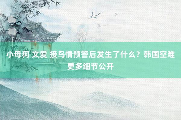 小母狗 文爱 接鸟情预警后发生了什么？韩国空难更多细节公开