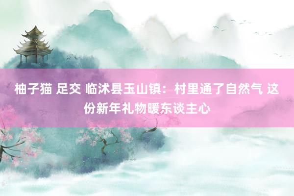 柚子猫 足交 临沭县玉山镇：村里通了自然气 这份新年礼物暖东谈主心