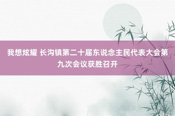 我想炫耀 长沟镇第二十届东说念主民代表大会第九次会议获胜召开
