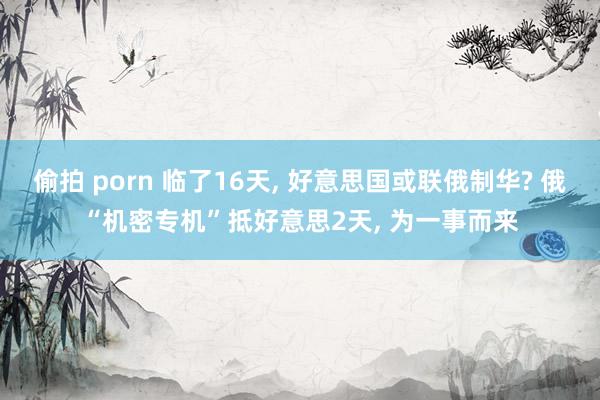 偷拍 porn 临了16天， 好意思国或联俄制华? 俄“机密专机”抵好意思2天， 为一事而来