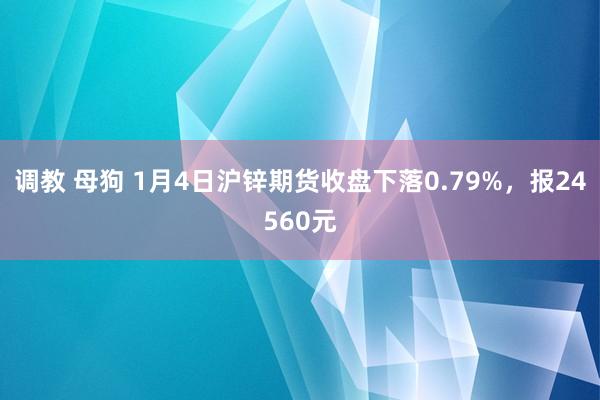 调教 母狗 1月4日沪锌期货收盘下落0.79%，报24560元