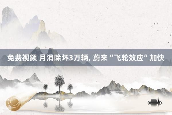 免费视频 月消除坏3万辆， 蔚来“飞轮效应”加快
