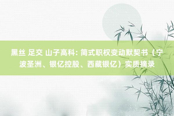 黑丝 足交 山子高科: 简式职权变动默契书（宁波圣洲、银亿控股、西藏银亿）实质摘录