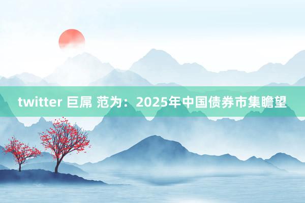 twitter 巨屌 范为：2025年中国债券市集瞻望