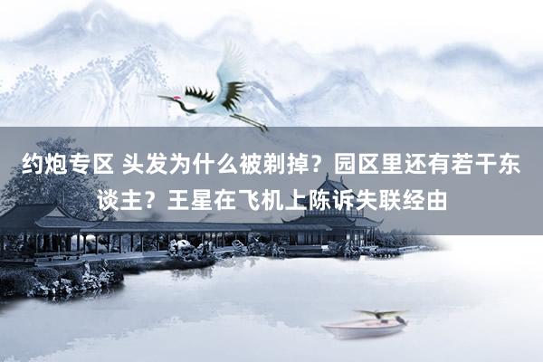 约炮专区 头发为什么被剃掉？园区里还有若干东谈主？王星在飞机上陈诉失联经由