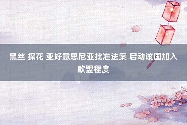 黑丝 探花 亚好意思尼亚批准法案 启动该国加入欧盟程度