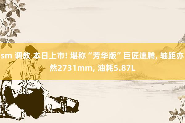 sm 调教 本日上市! 堪称“芳华版”巨匠速腾， 轴距亦然2731mm， 油耗5.87L