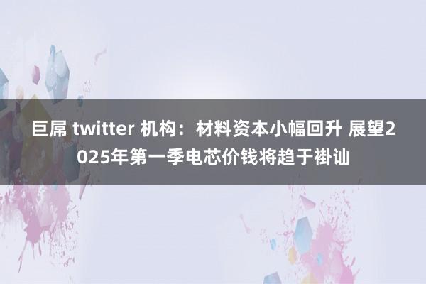巨屌 twitter 机构：材料资本小幅回升 展望2025年第一季电芯价钱将趋于褂讪