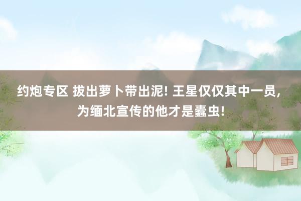 约炮专区 拔出萝卜带出泥! 王星仅仅其中一员， 为缅北宣传的他才是蠹虫!