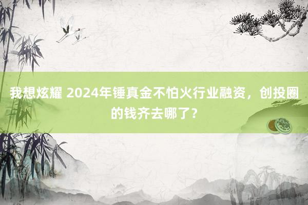 我想炫耀 2024年锤真金不怕火行业融资，创投圈的钱齐去哪了？