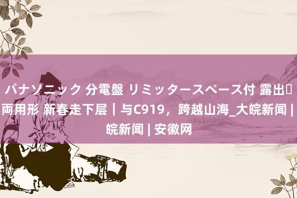 パナソニック 分電盤 リミッタースペース付 露出・半埋込両用形 新春走下层｜与C919，跨越山海_大皖新闻 | 安徽网