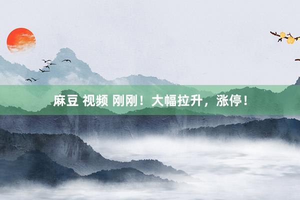 麻豆 视频 刚刚！大幅拉升，涨停！