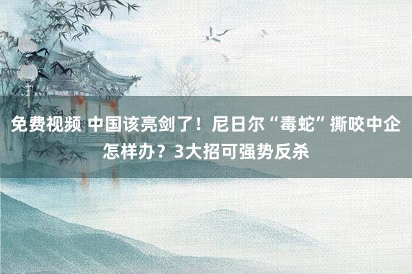 免费视频 中国该亮剑了！尼日尔“毒蛇”撕咬中企怎样办？3大招可强势反杀
