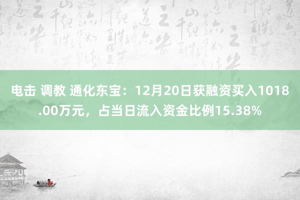电击 调教 通化东宝：12月20日获融资买入1018.00万元，占当日流入资金比例15.38%