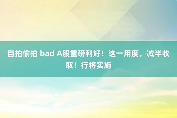 自拍偷拍 bad A股重磅利好！这一用度，减半收取！行将实施