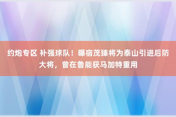 约炮专区 补强球队！曝宿茂臻将为泰山引进后防大将，曾在鲁能获马加特重用