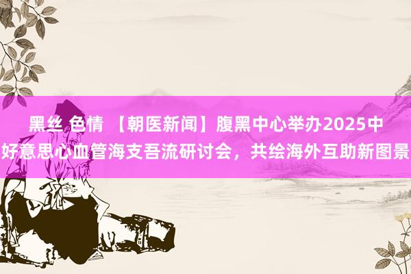 黑丝 色情 【朝医新闻】腹黑中心举办2025中好意思心血管海支吾流研讨会，共绘海外互助新图景